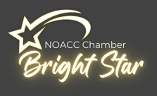 2025 Bright Star Logo for Pins.png