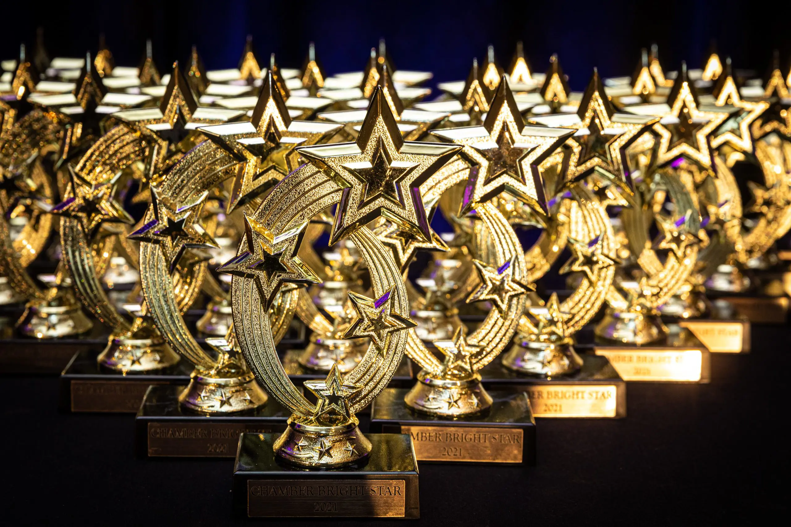 15th Annual NOACC Bright Stars Awards 2023