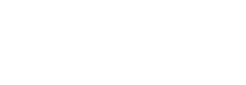 Assocation of Chamber of Commerce Executives
